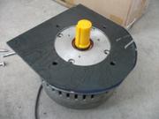 Electric motor with its supporting plate